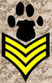 Sergeant <3 by Blake404
