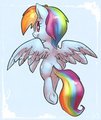 Dashie