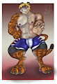 raffle 2013 C4 by toggle