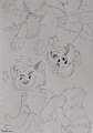 Hide and Peet FC2023 by zephyrnok