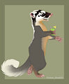Chinese ferret-badger