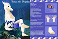 Tidus the Dolphin