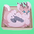 [C] True_tails