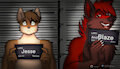 Horny Jail Mug Shots