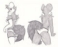 Marten 2