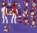 Cenny (Updated)
