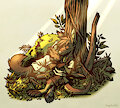 Forest Nap