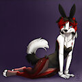 Bunny Kim by Lichfang