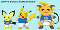 Chip's evolution stages
