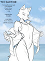 Swimsuit Reveal YCH Auction