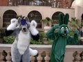 Fursuit Jai Ho Video and Carmeldansen gif by Conejo