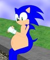 Sonic and a Chilidog by Lozar