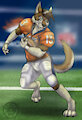 Running the ball! by toddhunter