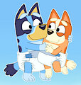 Bluey Collection