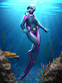 [C] Diving Seal by MykeGreywolf