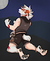 Lycanroc TF Streamloots Card!