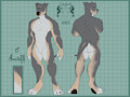 Amstaff ref by Rufus5