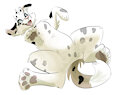 Belly Rubs for Reno *Commission* by Spotty2Wily