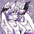 Shaxness~