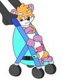 taur stroller