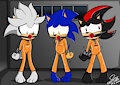 inmate hedgehogs by Sonicgerman