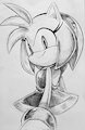 Amy pen sketch