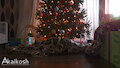 Christmas Snake Surprise!