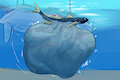 Swallowed Snorkler by Akaikosh