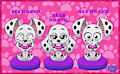 Three Wise Puppies