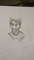 Shane Sketch by RatchetSerperior