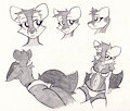Pine Marten