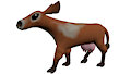 Mantara cow walking/running