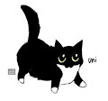 Uni the cat by SpecAlmond