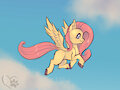 Fluttershy by KesshoNine