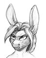 horse sketch d002 by Kayodebyte