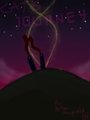Cat's Journey