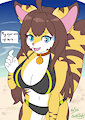 Cindy's summer bikini
