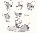 Clarissa Experiment