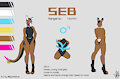 SFW Sebasatian Ref