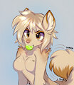 ball by kolae