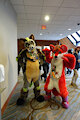 Fox n Boar