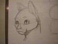 Sketches of random feile and canine heads by Neos8