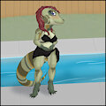 Pool Party - Tanda by Killmite