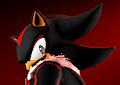 The Baddest Hedgehog