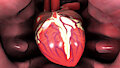 GlenSkunk heart test by theHappyHeartMan