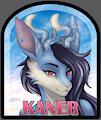 Kaner badge by gustav