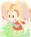 Cream The Rabbit