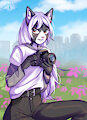 Amateur Photographer by rknight