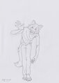 Maned Wolf by PrintedOnPaper