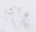 Trespassing Fox by PrintedOnPaper
